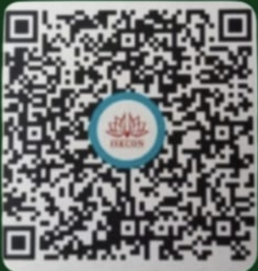 UPI QR Code